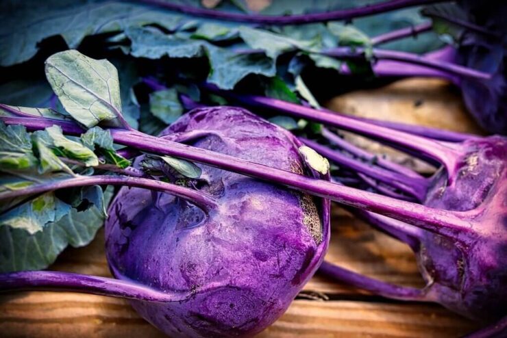 Purple Kohlrabi with greens