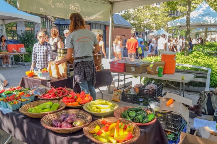 marketplace at boston local food festival