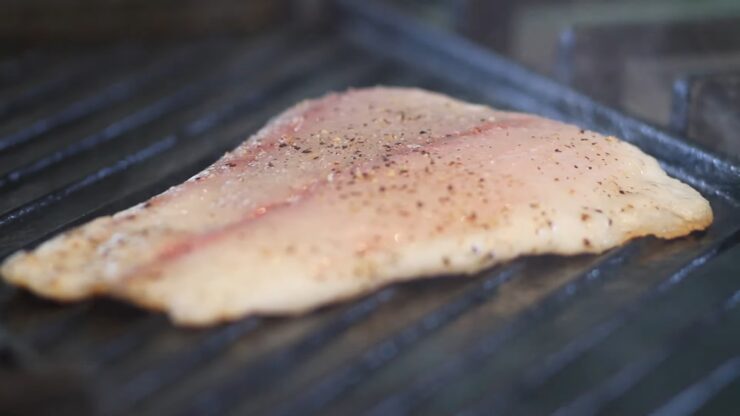 Grilling Fish Fillets: A Taste of the Outdoors